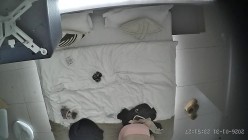 酒店上帝视角偷拍女友换上情趣睡衣后被小伙用超长大黑牛狂怼骚逼 截图7