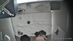 酒店上帝视角偷拍女友换上情趣睡衣后被小伙用超长大黑牛狂怼骚逼 截图8