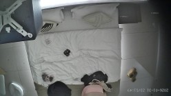 酒店上帝视角偷拍女友换上情趣睡衣后被小伙用超长大黑牛狂怼骚逼 截图9