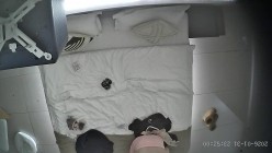 酒店上帝视角偷拍女友换上情趣睡衣后被小伙用超长大黑牛狂怼骚逼 截图10