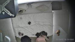 酒店上帝视角偷拍女友换上情趣睡衣后被小伙用超长大黑牛狂怼骚逼 截图12