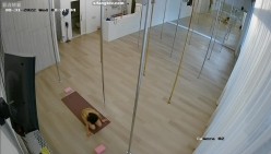 【极品稀缺 ️破解摄像头】钢管舞舞蹈室破解头偷拍 ️身材不错的小姐姐日常练功跳舞 适合高难度动作 截图3