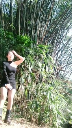 户外大神~【不翘退钱】两骚闺蜜~野外马路~小树林跳蛋全裸~真实刺激，时刻担心路人出没，紧张 截图6