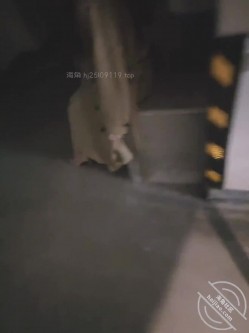 嫂子喜欢上了漏出野战的感觉，深夜主动拉着我去车库漏出野战 截图6