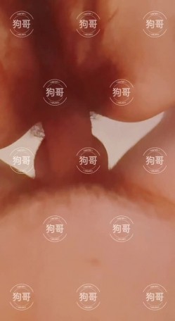 专注良家少妇熟女约炮大神【狗哥原创】，爆干各种BBW巨乳肥臀丰腴母狗，有露脸 截图6