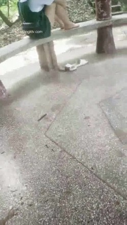 野外~玩刺激~玩心跳~【无敌小表妹】2男2女~车震小树林~茅屋~操出血，家中3P啪啪 截图3