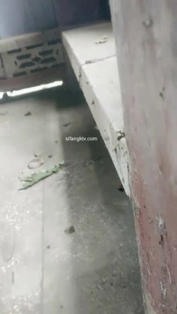 野外~玩刺激~玩心跳~【无敌小表妹】2男2女~车震小树林~茅屋~操出血，家中3P啪啪 截图12