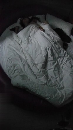 酒店偷拍 ️年轻情侣气质甜美女友精致的小嘴爱吃男友JJ被操两场次 截图3