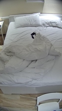 酒店偷拍 反差婊戴眼镜的骚女换开档黑丝和女仆装和男友尽情做爱 截图16