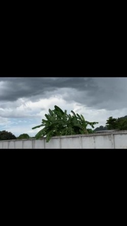 国产骚货淫妻【妮卡Nica】性爱口交私拍甄选流出 户外车震 最好的口交吸精 帝王级享受 截图1