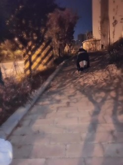 顶推重磅福利，大神高价自购海角万人追踪反差婊【胡九万（原小芳姐姐）】最全合集，性奴调教啪啪各种花样，秒懂下 截图4