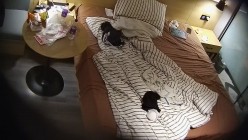 民宿酒店偷拍体育生小伙一周没和女友操逼了吃饱外卖 上来直接就开始各种舔穴热身 截图15