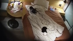 民宿酒店偷拍体育生小伙一周没和女友操逼了吃饱外卖 上来直接就开始各种舔穴热身 截图16
