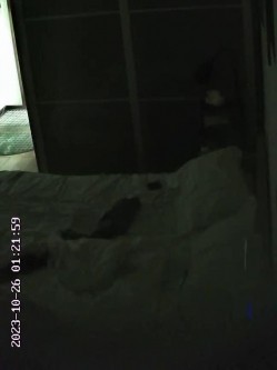 整整三天！酒店偷拍情侣开房三天打炮集合！妹子身材非常好，各种换装！整天都黏在一起，没日没夜地打炮 截图5