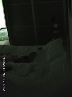整整三天！酒店偷拍情侣开房三天打炮集合！妹子身材非常好，各种换装！整天都黏在一起，没日没夜地打炮 截图9