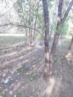 女友把我带到野外干她，在床上已经无法满足她的要求了！ 截图11