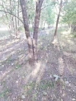 女友把我带到野外干她，在床上已经无法满足她的要求了！ 截图16