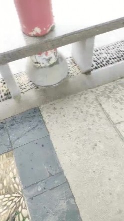 爆乳户外骚母狗，公园爬行逼里塞AV棒，口交乳交大鸡巴，户外撒尿，让大哥无套各种抽插玩弄骚奶子真骚 截图7