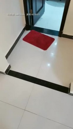 你的梦中情人月儿高颜值美女沙发啪啪，特写口交上位骑坐抱起来大力猛操 截图1