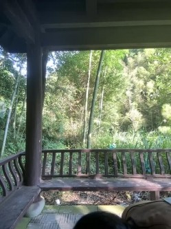 主播 so-linger 极品骚货户外直播漏出、自慰卖骚、各种大胆动作非常刺激 截图7