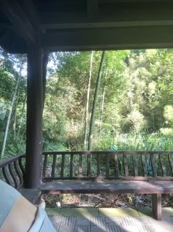 主播 so-linger 极品骚货户外直播漏出、自慰卖骚、各种大胆动作非常刺激 截图8