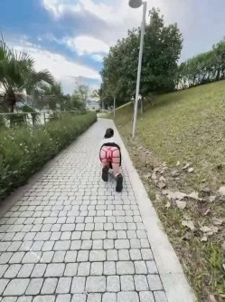 字母猎奇必备！极度SM重口，舞蹈生姐姐【依然】各种花样玩法，暴力异物扩张3P女女露出喝尿 截图10