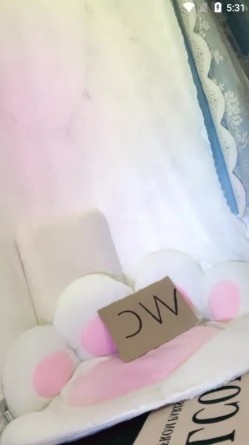 颜值最高的女神【陈晓晓】明星级别绿播转黄 截图2