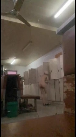 【洗浴换衣合集】高校渣女坑闺蜜拍舍友2+窥视邻居小姐姐们的私生活42V，师范大学的美女就是多 截图9