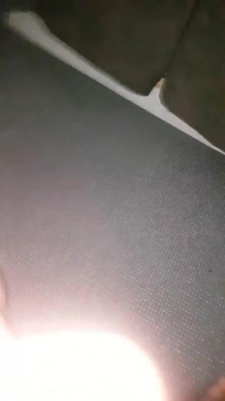 样子很风骚的杭州少妇女导游援交个刚刮完屌毛白板老外经验丰富搞得老外很爽 截图4