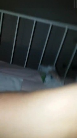 样子很风骚的杭州少妇女导游援交个刚刮完屌毛白板老外经验丰富搞得老外很爽 截图7
