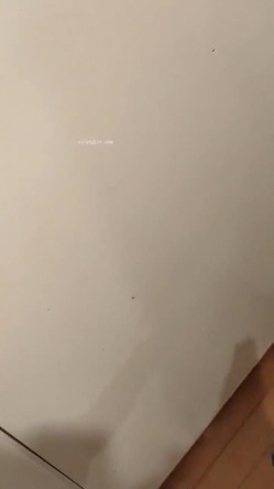 《稀缺资源 震撼狠货》推特字母圈网红SM界天花板重度性虐大师【I_m_ur】各种极限调教私拍~扩张 异物 虐阴虐尿道花样繁多 截图16