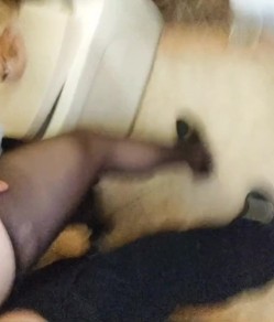 黑丝美女少妇 皮肤白皙 朋友们在外面唱歌 被拉进厕所后入猛怼 截图16