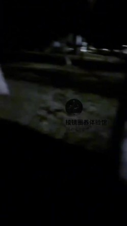 182模特人前露出，顶着刚sp完的屁股夜晚公园露出还有遛弯的人群躲 截图13