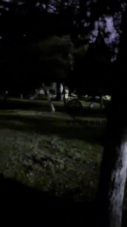182模特人前露出，顶着刚sp完的屁股夜晚公园露出还有遛弯的人群躲 截图14
