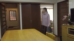 HOKS-234 截图7