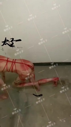 母狗调教训练推特大佬【太子】私拍，各种社死调教反差模特骚女，狗链露出爬行啪啪能玩的都玩了 截图15