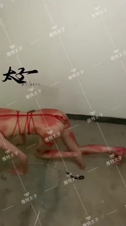母狗调教训练推特大佬【太子】私拍，各种社死调教反差模特骚女，狗链露出爬行啪啪能玩的都玩了 截图16