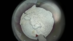 上帝视角酒店（新台）情趣圆床偷拍 红衣白裙美女躺床上兴奋对着摄像头各种表情比耶男炮友要来了 截图13