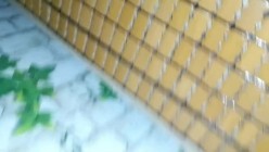 骚货老婆巨无霸自慰，老公的小鸡巴已满足不了需求，老公手拿假屌帮忙插！ 截图8