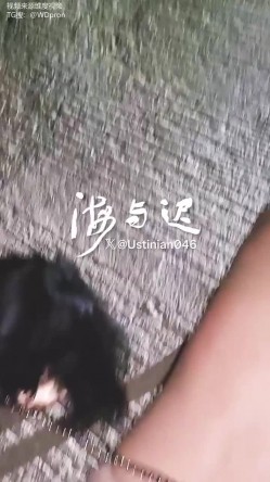 顶级调教大神，回归携多位少妇母狗调教，刺激花式玩法「海与迟」165车模冷白皮黑丝母狗车展当晚拿下，抽逼奴性M配合度非常高 截图13