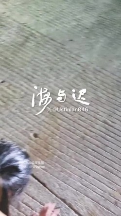 顶级调教大神，回归携多位少妇母狗调教，刺激花式玩法「海与迟」165车模冷白皮黑丝母狗车展当晚拿下，抽逼奴性M配合度非常高 截图14