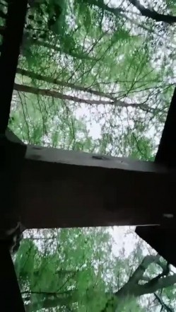 【小狐仙】眼镜御姐 巨乳美女 户外公园跳蛋道具抽插 开档丝袜大长腿插沟搭男技师 抠逼 截图2