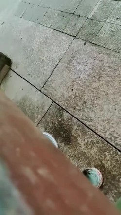 【小狐仙】眼镜御姐 巨乳美女 户外公园跳蛋道具抽插 开档丝袜大长腿插沟搭男技师 抠逼 截图3