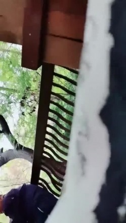 【小狐仙】眼镜御姐 巨乳美女 户外公园跳蛋道具抽插 开档丝袜大长腿插沟搭男技师 抠逼 截图14