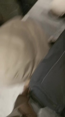 冷艳颜值女神被炮友各种姿势随意操，上位骑乘抽插特写屁股，手指插入菊花太爽了，张开双腿一下下深插 截图3
