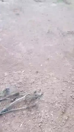 【钢炮寻爱】 户外车震~沟搭人妻熟女催情药无套内射 截图8