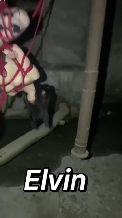 推特顶级大神【elc调教师】能肏能玩，各种模特网红女神滴蜡走绳喝尿露出羞耻训成母狗 截图4