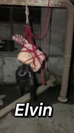 推特顶级大神【elc调教师】能肏能玩，各种模特网红女神滴蜡走绳喝尿露出羞耻训成母狗 截图7