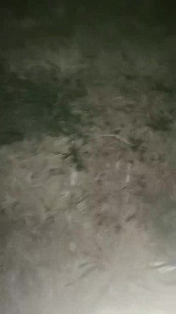 户外刺激，人气女神再出山，【香菜一奈】，野外山顶~勾搭口交~，路边尿尿，车震，浪叫声响彻旷野 截图2