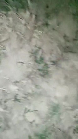 户外刺激，人气女神再出山，【香菜一奈】，野外山顶~勾搭口交~，路边尿尿，车震，浪叫声响彻旷野 截图9